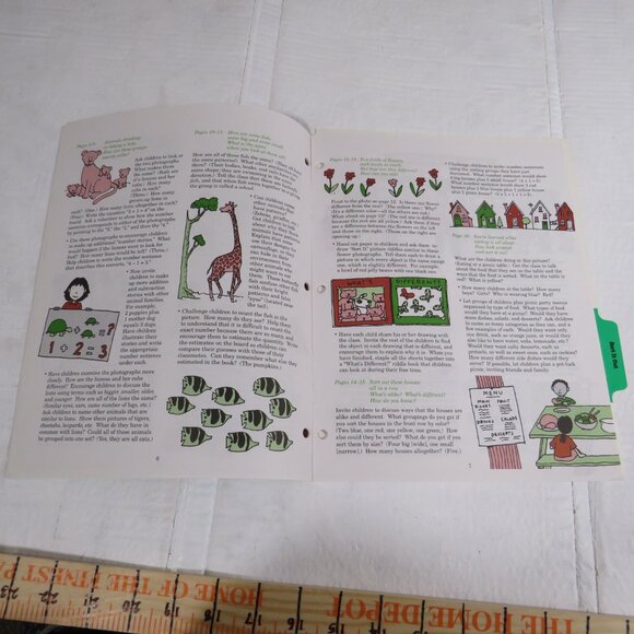 Sort It Out BIG BOOK (almost 2 feet tall) with teacher pages CLASSROOM SIZE - Picture 13 of 16